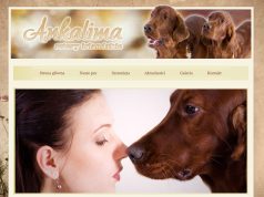 Profesjonalny Salon Fryzjerski Viva Seostudio Strony Internetowe