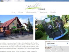 Profesjonalny Salon Fryzjerski Viva Seostudio Strony Internetowe