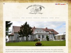 Profesjonalny Salon Fryzjerski Viva Seostudio Strony Internetowe
